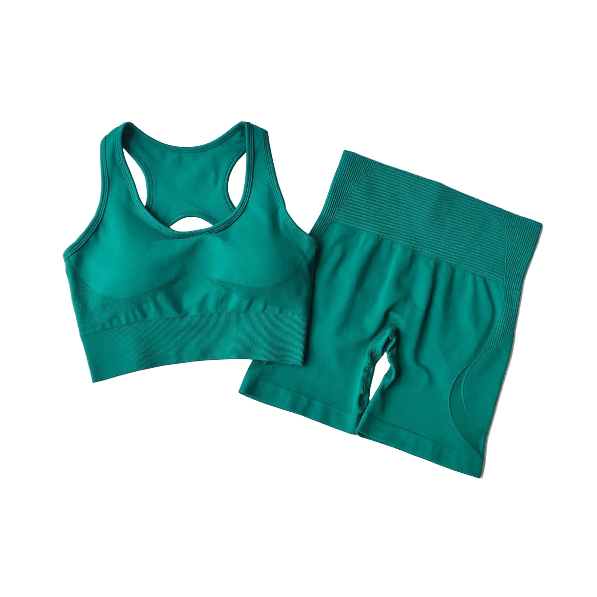 Sculpt Set – Seamless Contour 2-Piece Active Set